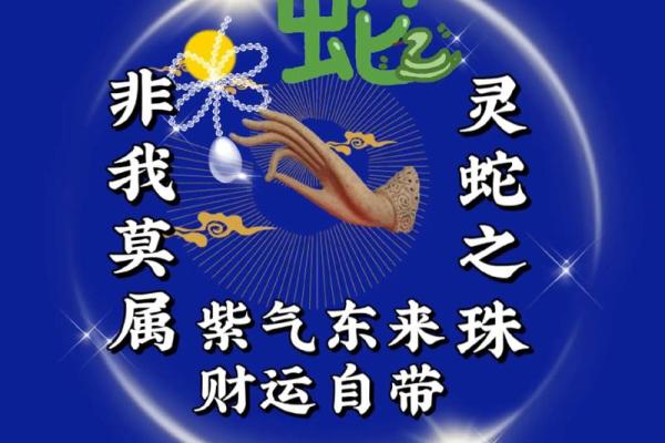 属蛇的办公室风水