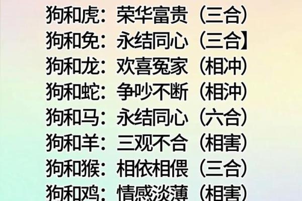 属相配对女性姻缘查询 属相婚姻配对十二生肖配对？