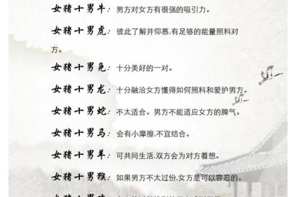 属相配对女性姻缘查询 属相婚姻配对十二生肖配对？