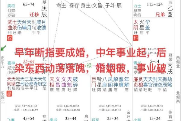 紫薇斗数男顺女逆倪海厦