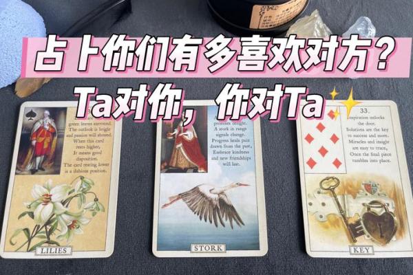 塔罗测试：爱情中你追求着什么？