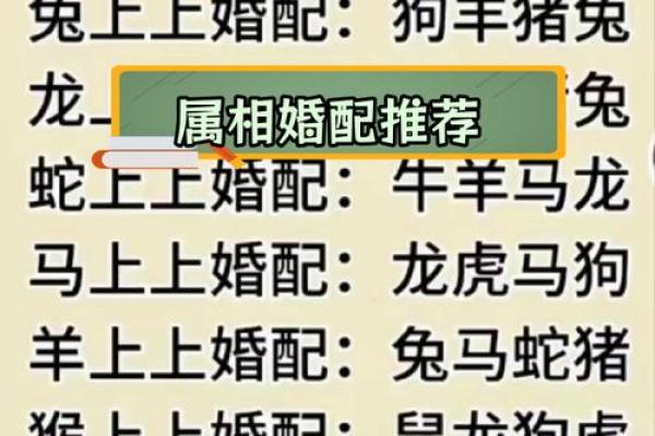 2005年属什么生肖配对最好,2005年属鸡的属相婚配表