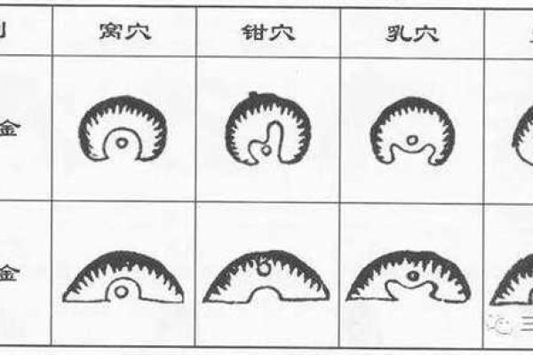 风水“结穴”是一种怎样的穴形