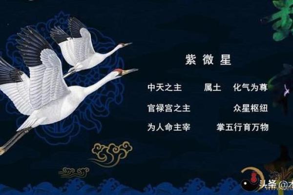 紫薇斗数夫妻宫灵匣