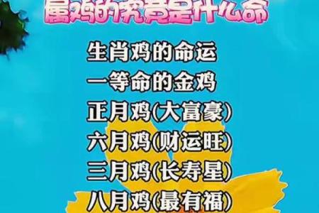 生肖属鸡2025年11月结婚最吉利的日子有哪些 2025年11月属鸡订婚吉日