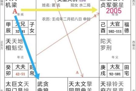 紫薇斗数流出忌