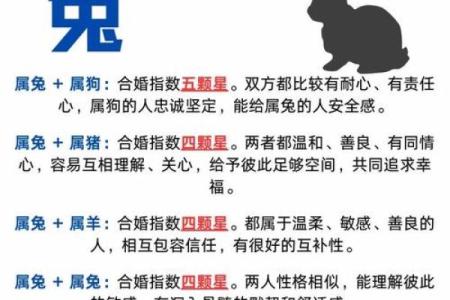 属兔男和什么属相最配对