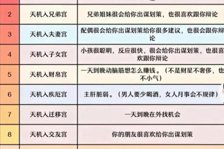 辰宫紫薇斗数