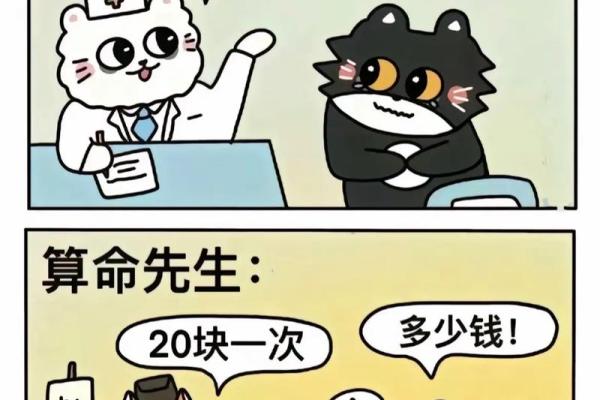 不能算命的搞笑视频是谁