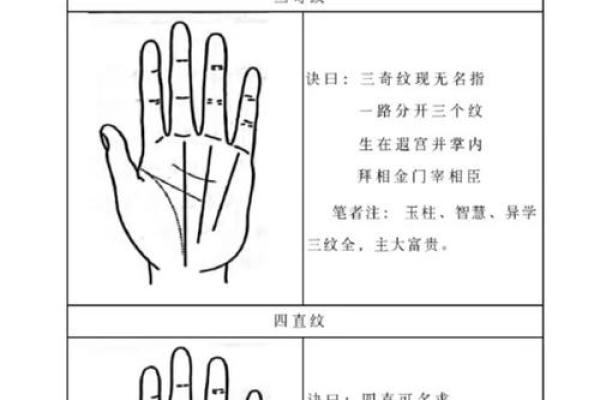 《手相学习百科》：手的形状