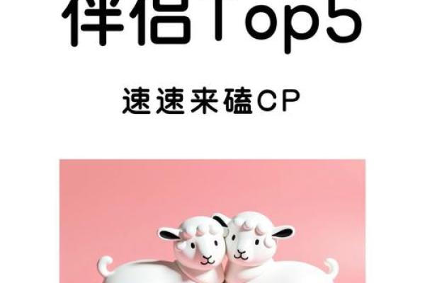 白羊金牛座配对