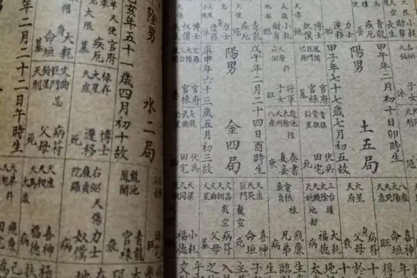 紫薇斗数知乎