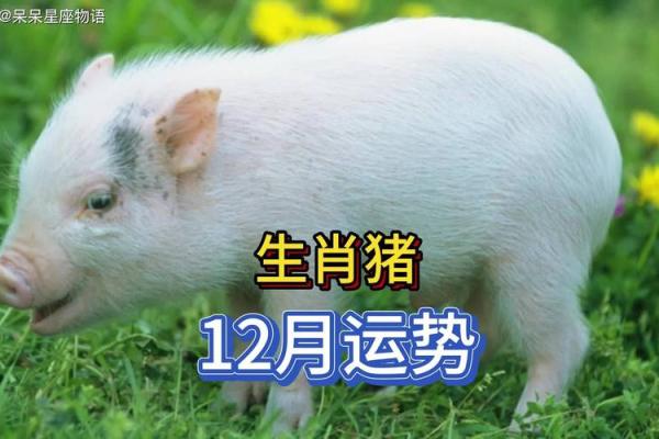 是否有十二星座中属猪的人存在