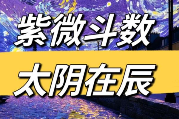 紫薇斗数太阴视频