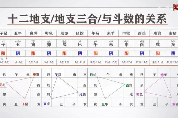 庄氏紫微斗数入门基础知识 庄氏资料？
