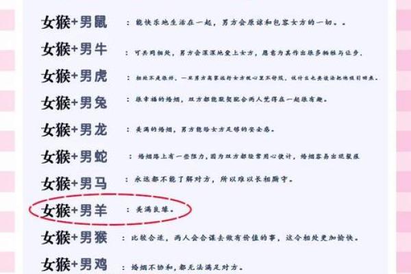 生肖配对：属鼠的和什么属相最配