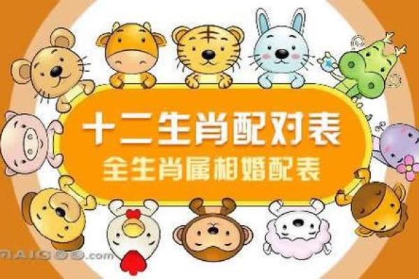 99年属什么今年多大 生肖配对
