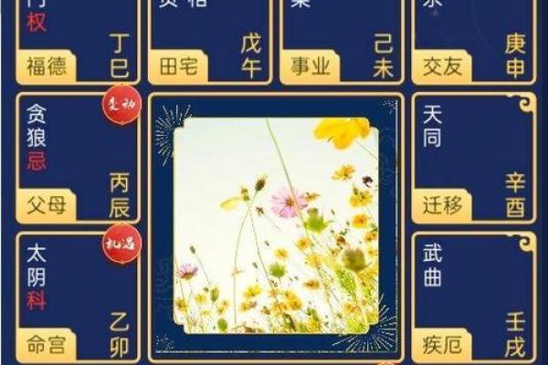 二婚紫薇斗数