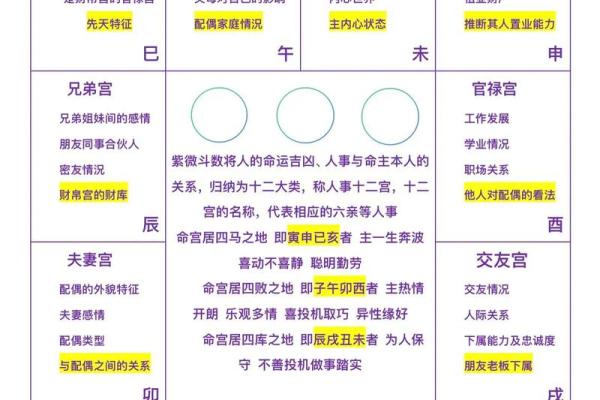 二婚紫薇斗数
