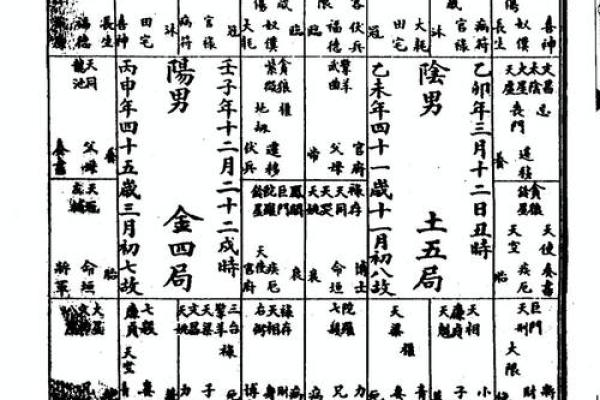 紫微斗数rumen 紫微斗数入门全书？