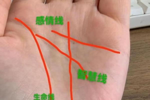 《手相学习百科》：手相看家庭与遗传