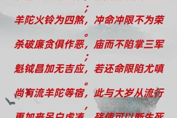 紫薇斗数意思