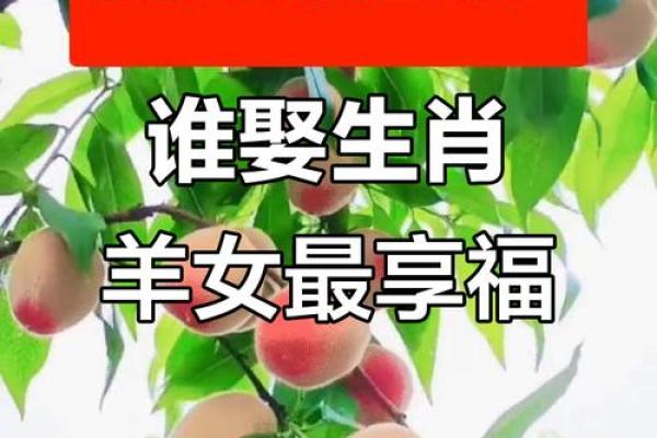 2003年属羊女最佳结婚年龄