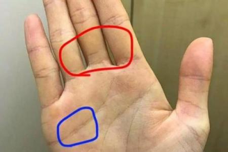 《手相学习百科》：手的形状