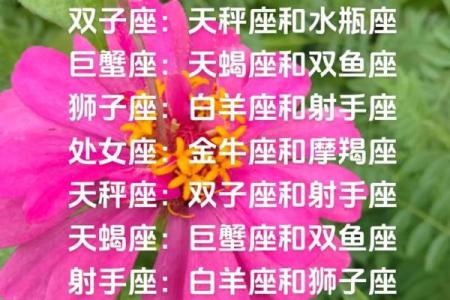 金牛座一区与射手座三区的星座配对