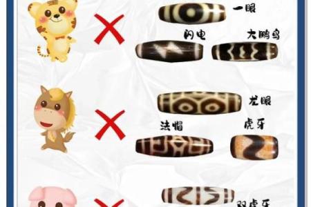 戴天珠的风水