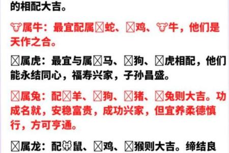 鼠属十二生肖之首黄金配对无人敌