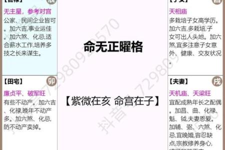 庄氏紫微斗数入门基础知识 庄氏资料？