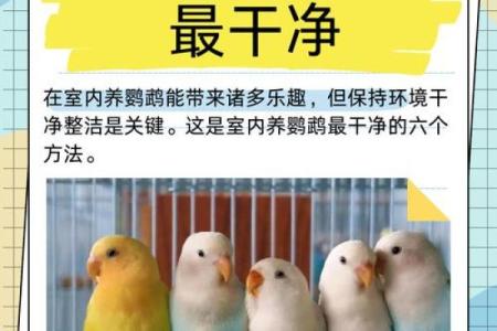养宠物也是要讲究风水的