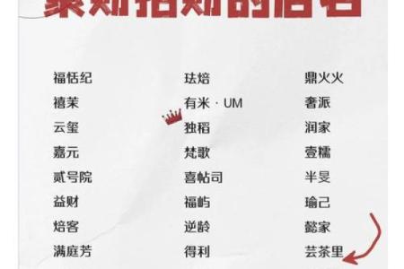 店铺名称查询吉祥测算,企业取名字大全免费测试