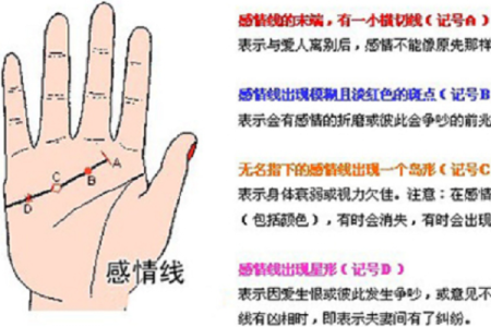 《手相学习百科》：感情线
