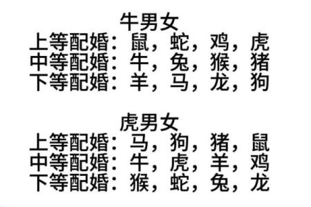 1982年属什么生肖多大年龄 1982年属什么生肖配对