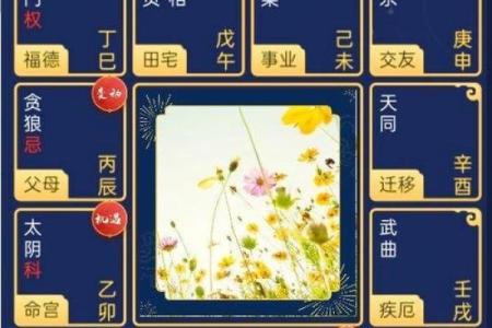 二婚紫薇斗数