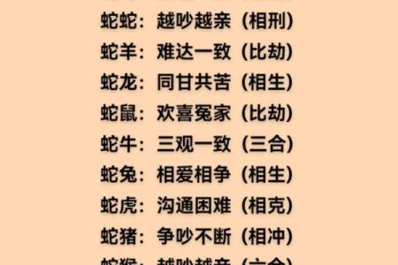 1997年属什么生肖配对