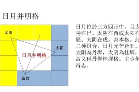 紫微斗数术语解释之：格局