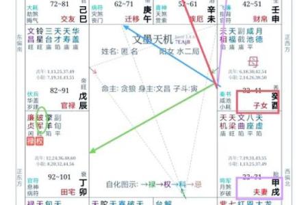 紫薇斗数看女命