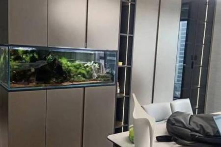 客厅鱼缸风水上应该如何摆放