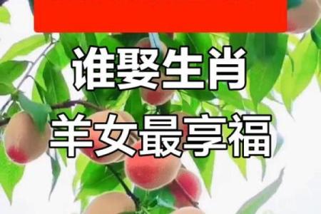 2003年属羊女最佳结婚年龄
