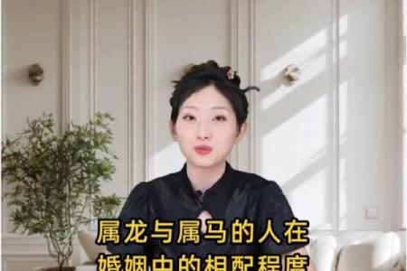 属龙男和属马女姻缘怎么样 属龙男和属马女配对好不好