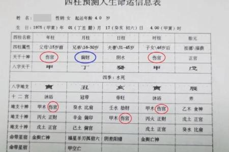 八字格局看天干还是地支