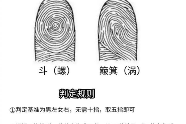 《手相学习百科》：手指