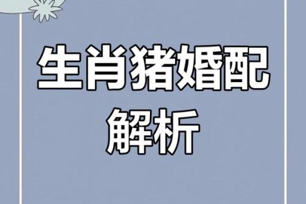 属相猪的性格特点及其与其他属相的配对