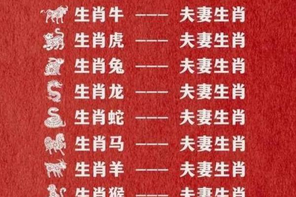 十二肖和十二生肖配对,十二生肖最佳婚配表是怎样的？