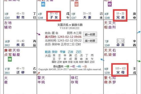 紫薇斗数在排盘