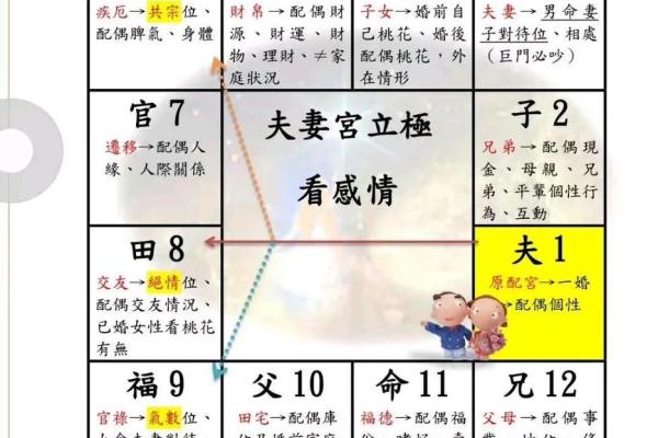 紫薇斗数在排盘