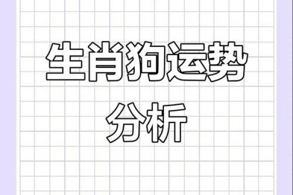 属狗和什么属相最配对 属狗和什么属相相冲